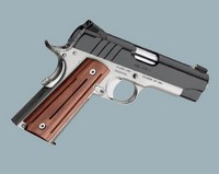 Pro Aegis II.jpg